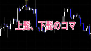 上髭、下髭の長いコマ