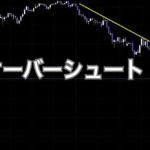 オーバーシュート