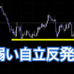 弱い自律反発