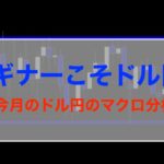 ビギナーこそドル円！【今月のドル円のマクロ分析】