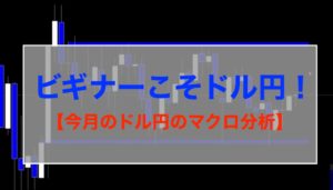 ビギナーこそドル円！【今月のドル円のマクロ分析】