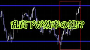 乱高下が効率の鍵!?